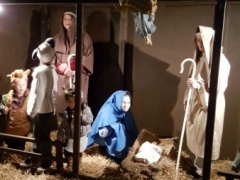 Live Nativity