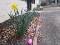 Easter 2016